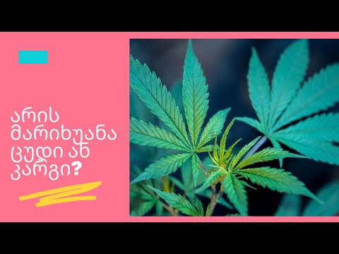 არის მარიხუანა ცუდი ან კარგი? |GKF|Kartuli|Georgia|Videos|Health|Marijuana